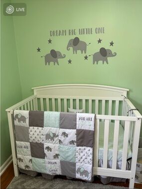 Sweet jojo designs green and gray elephant nursery bedding